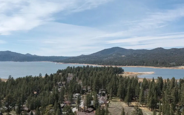 Bluebird Ct - Starling