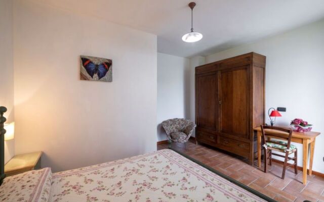 Rustico Cavernoso (SGI420)