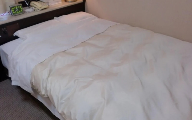 Tsuyama Central Hotel Town House