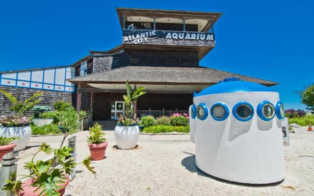 The Lucky Beach House, The Most Popular Beach House in Atlantic City! WOW!
