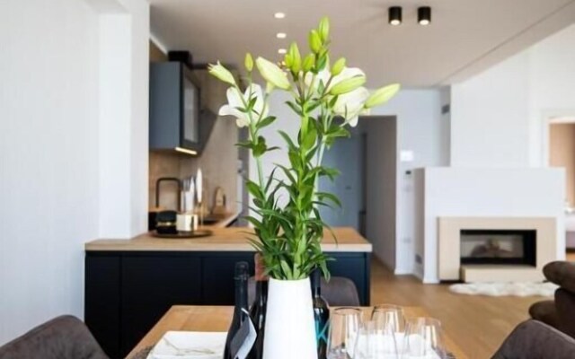 Penthouse Suite Arben