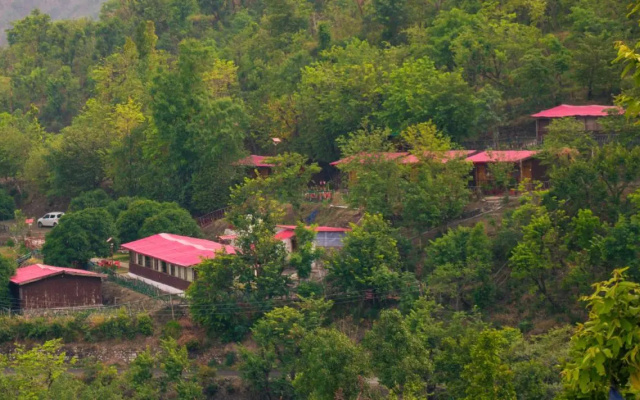 Forest Bliss Resort