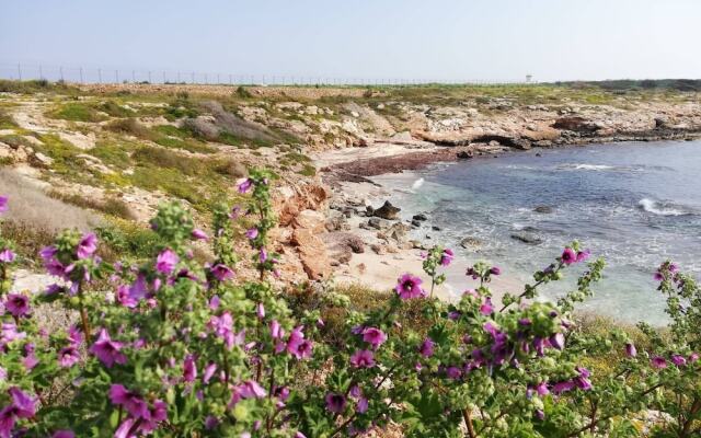 Bed & Breakfast Plaza