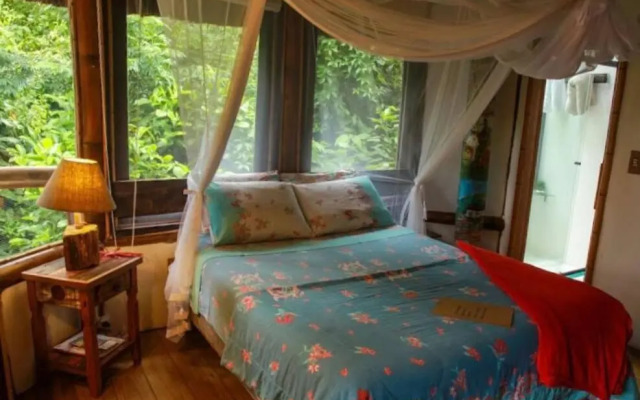 Suite Da Mata