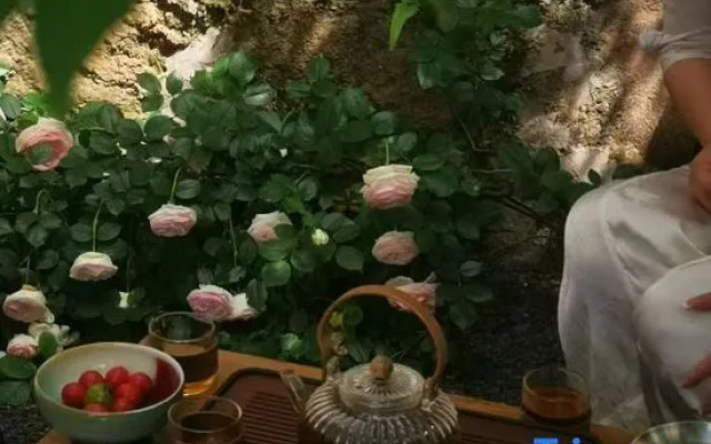 Yunfuli Yunsu·Yidao Qingcheng·camping Mountain Private Hot Spring B&B