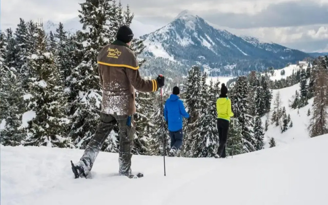 Nice Apartment With Balcony or Terrace