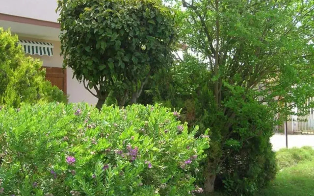 B&B "Sa Ferula"