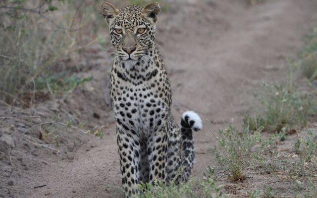 Grassland Safari Lodge