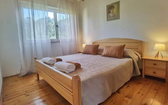Charming Apartment Center Split Terrace & Parking