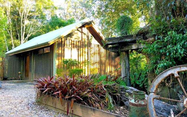 Ecostudio Fellini