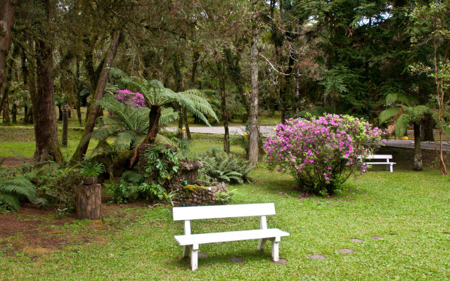Tri Hotel Canela