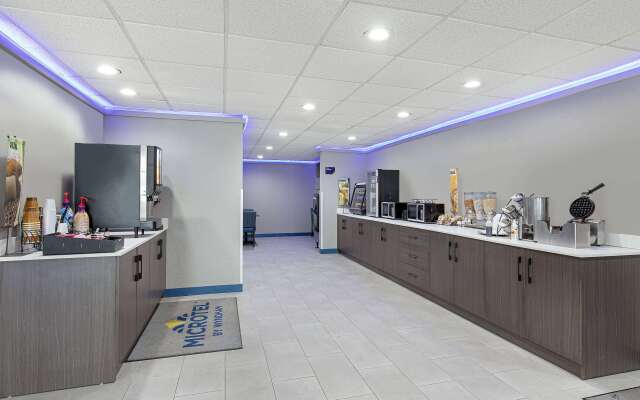 Microtel Inn & Suites by Wyndham Manchester