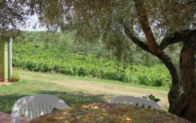 Conte Francesco I 230S