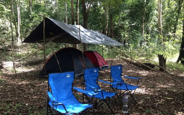 Pacaya Samiria Expeditions E.I.R.L