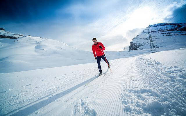 BnB Apartments Steinbock