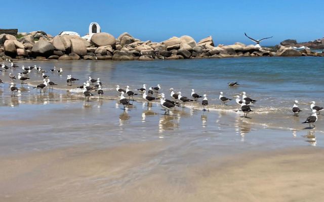 Farol Apart Hotel - Loft 213