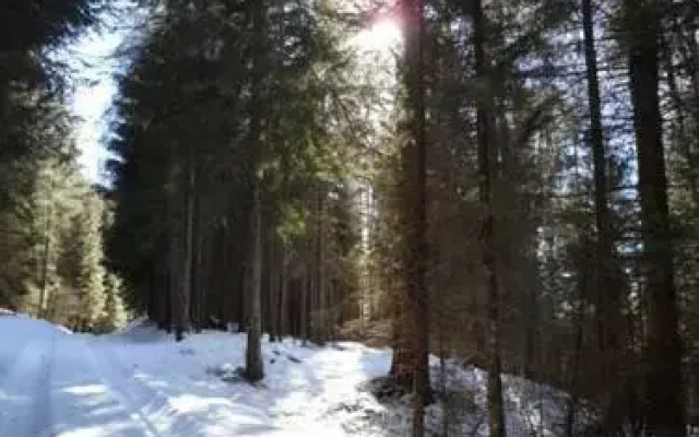 Rifugio Petina