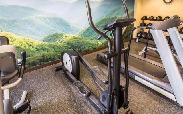 Quality Inn Jonesville I-77