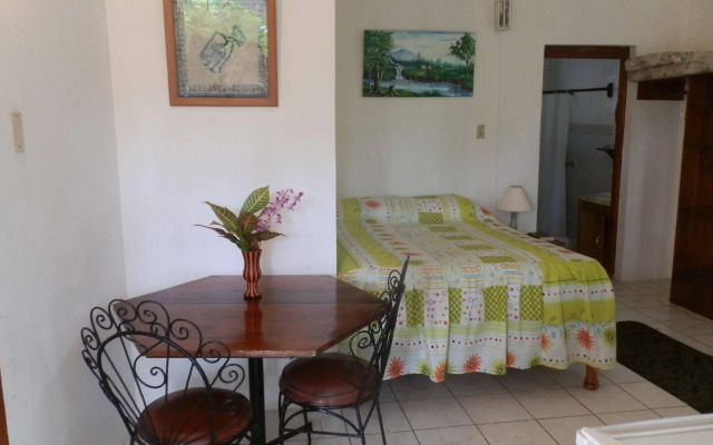 Negril Yoga Centre