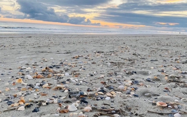 Fore Shore West- 4 Bedroom Home by RedAwning