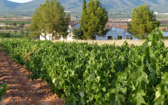 Casa Rural El Arrullo