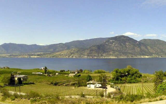 Arta B&B and Vineyard