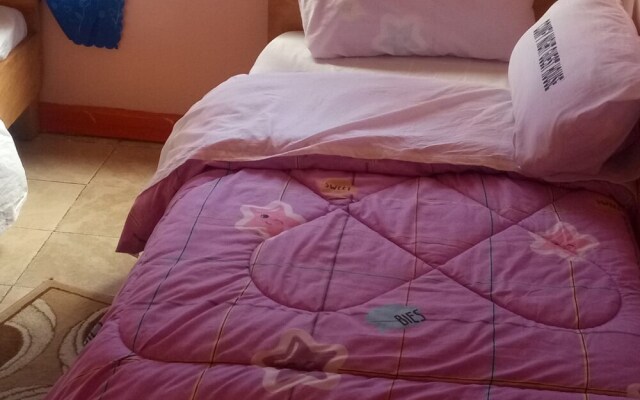 Comfy Night Guest House
