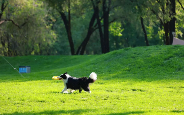 Beijing XiaoTang YiPiao Hot Spring Resort
