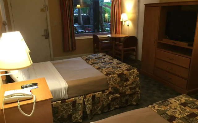 Wildwood Inn Tropical Dome & Theme Suites