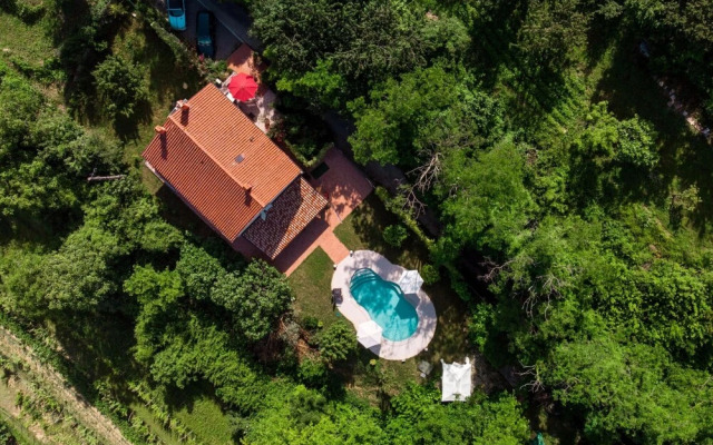 Pool House Ancka