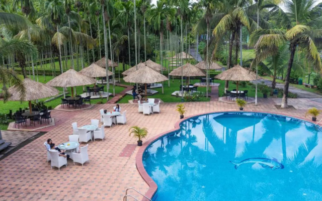 Zone Niathu Dimapur By The Park