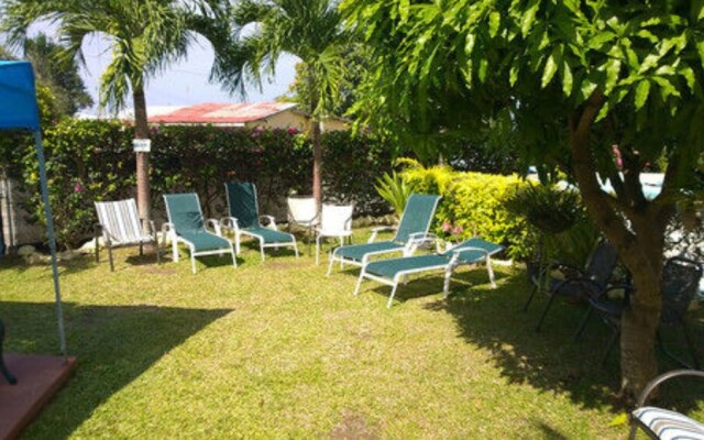 Palm Paradise Guest House and 2 Apartments