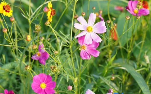 Floral Hotel·Yangshan Taohua Shili Hotel