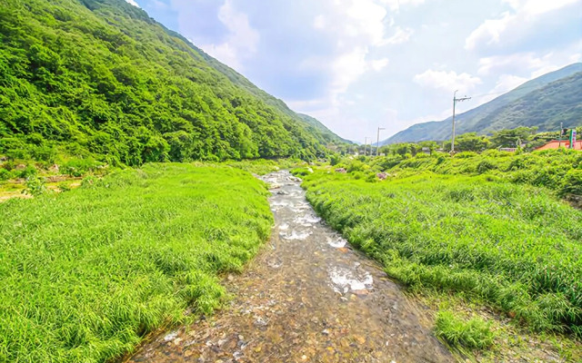 Yangsan Bene Maru Pension