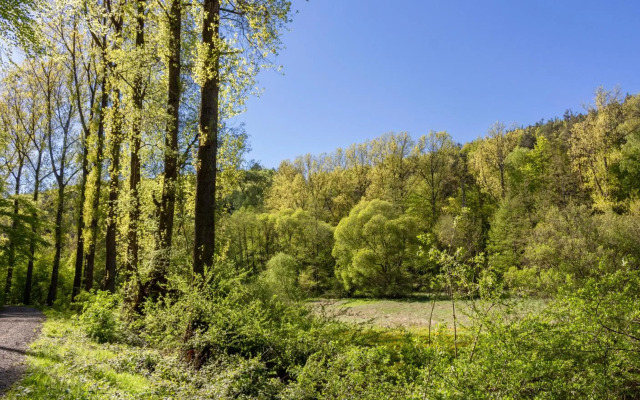 Wonderful Apartment With Great Location