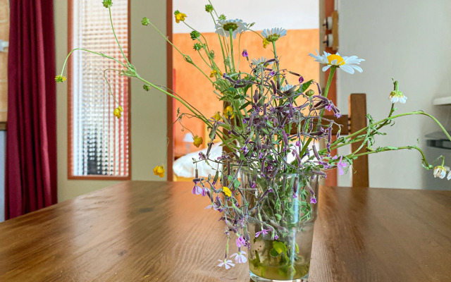 Mas Bourdaric - Location de Gîtes en Ardèche du Sud