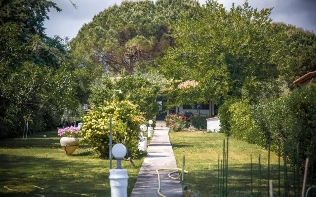 Estate Irene