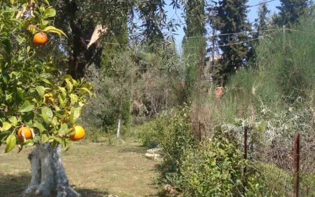 Handmade house