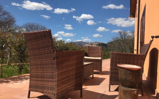 Agriturismo L'Ulivo
