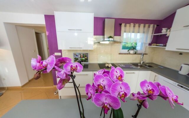 Villa Renata Zadar