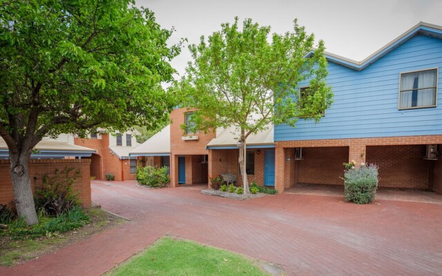 Banksia at Middleton