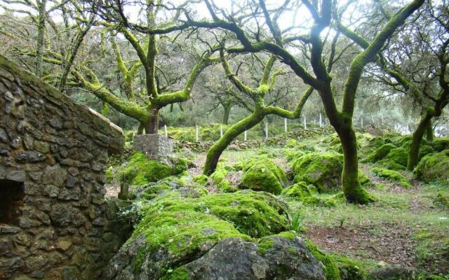 Finca La Viriñuela