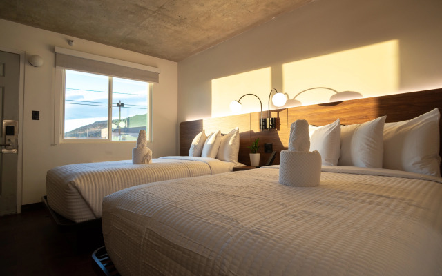 OYO Hotel Tucson Downtown