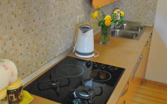 Apartment Vicko