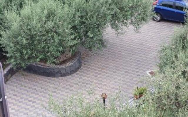 Azienda Agricola Cuntarati