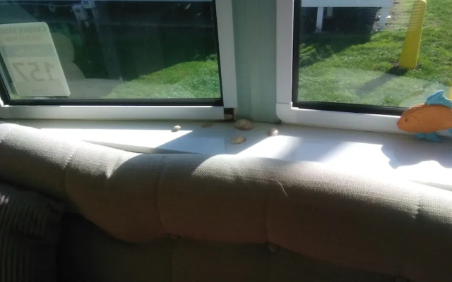 Charming 3-bed Caravan in Camber Food Rest