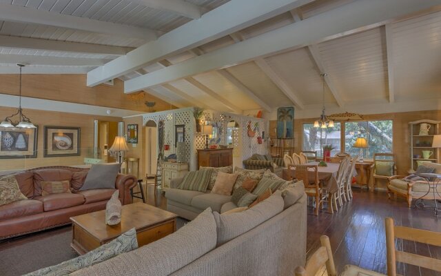 Spotted Sandpiper 12