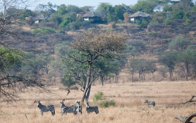 Mbalageti Serengeti