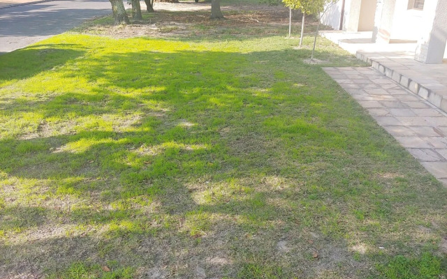 Zenith House Lodge Welgelegen