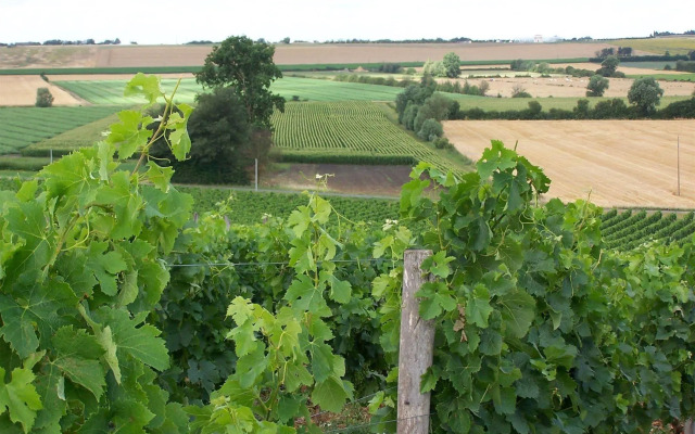 Chateau De La Sebrandière